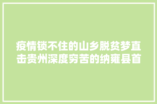 疫情锁不住的山乡脱贫梦直击贵州深度穷苦的纳雍县首趟务工专列