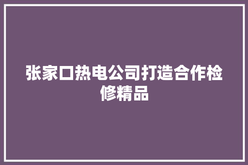 张家口热电公司打造合作检修精品