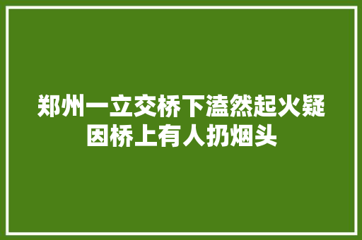 郑州一立交桥下溘然起火疑因桥上有人扔烟头