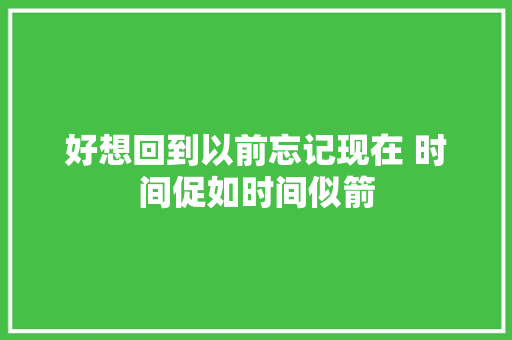 好想回到以前忘记现在 时间促如时间似箭