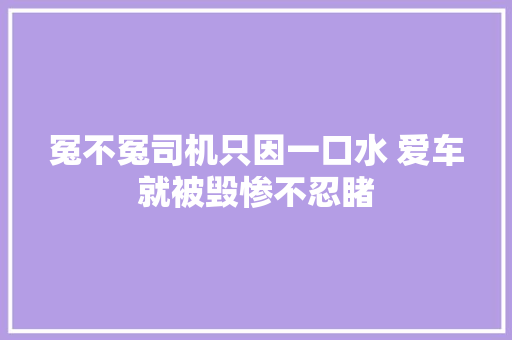 冤不冤司机只因一口水 爱车就被毁惨不忍睹