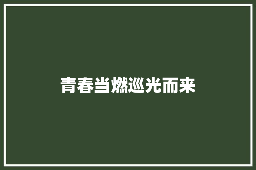 青春当燃巡光而来