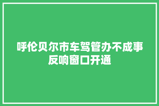 呼伦贝尔市车驾管办不成事反响窗口开通
