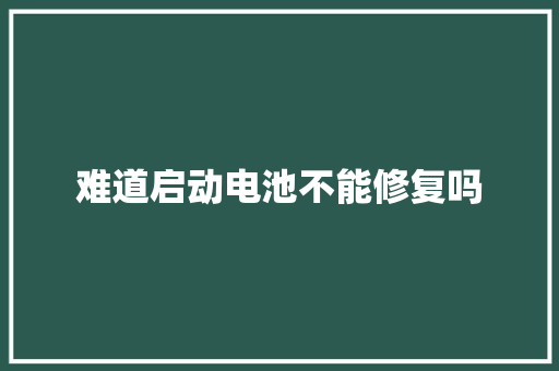 难道启动电池不能修复吗