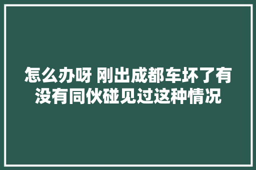怎么办呀 刚出成都车坏了有没有同伙碰见过这种情况