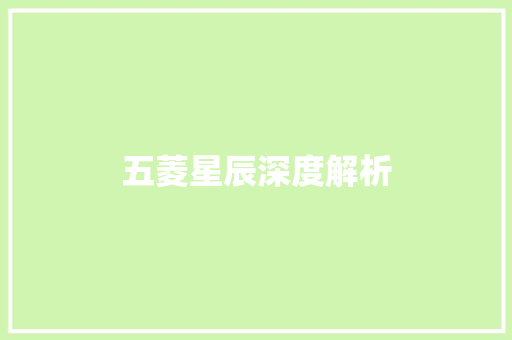 五菱星辰深度解析