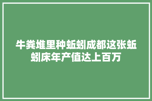 牛粪堆里种蚯蚓成都这张蚯蚓床年产值达上百万