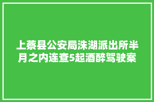 上蔡县公安局洙湖派出所半月之内连查5起酒醉驾驶案件