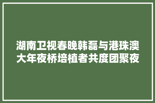 湖南卫视春晚韩磊与港珠澳大年夜桥培植者共度团聚夜