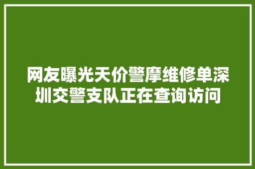 网友曝光天价警摩维修单深圳交警支队正在查询访问