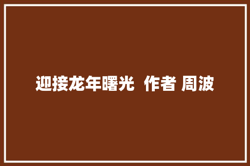 迎接龙年曙光  作者 周波