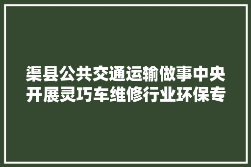渠县公共交通运输做事中央开展灵巧车维修行业环保专项检查