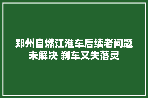 郑州自燃江淮车后续老问题未解决 刹车又失落灵
