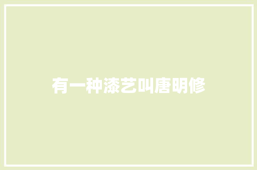 有一种漆艺叫唐明修
