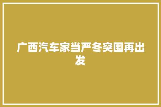 广西汽车家当严冬突围再出发