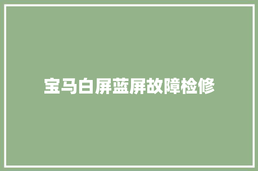 宝马白屏蓝屏故障检修