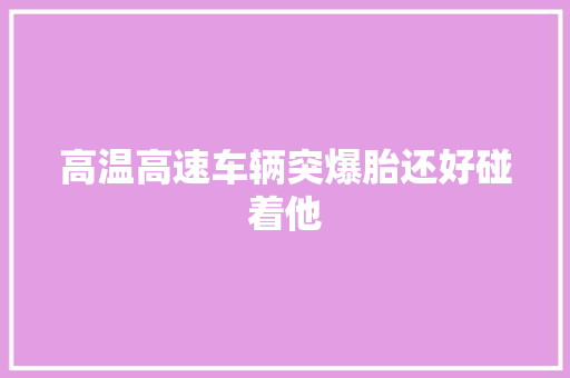高温高速车辆突爆胎还好碰着他