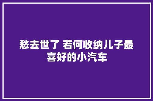 愁去世了 若何收纳儿子最喜好的小汽车