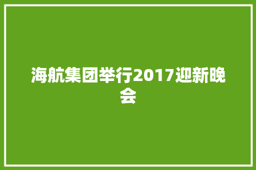 海航集团举行2017迎新晚会