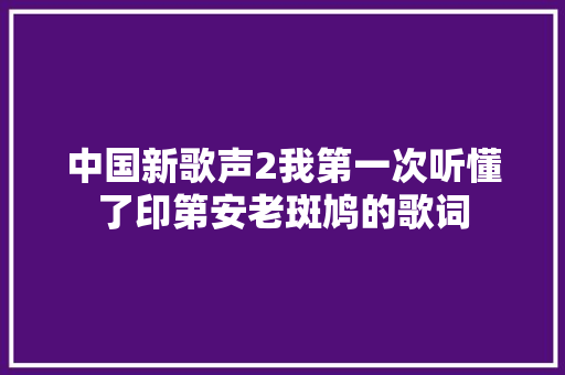 中国新歌声2我第一次听懂了印第安老斑鸠的歌词 休闲娱乐