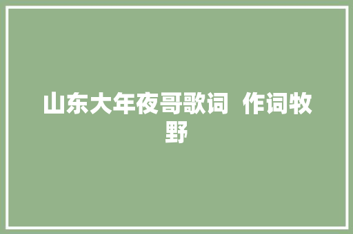 山东大年夜哥歌词  作词牧野