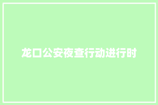 龙口公安夜查行动进行时