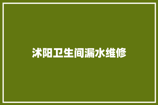 沭阳卫生间漏水维修