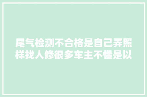 尾气检测不合格是自己弄照样找人修很多车主不懂是以吃了亏