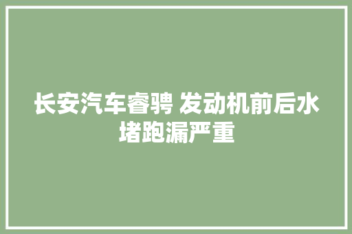长安汽车睿骋 发动机前后水堵跑漏严重