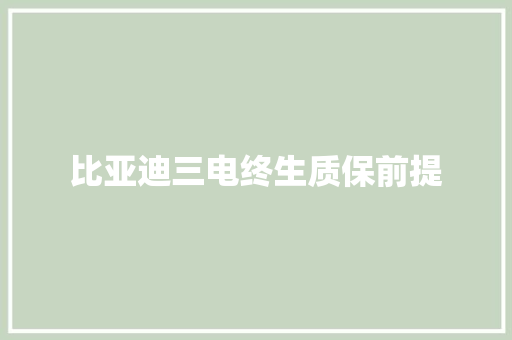 比亚迪三电终生质保前提