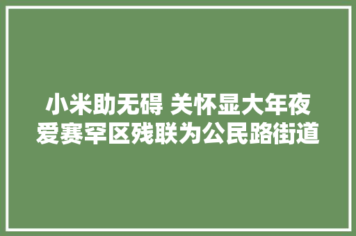 小米助无碍 关怀显大年夜爱赛罕区残联为公民路街道视力障碍残疾人免费发放小米智能音箱