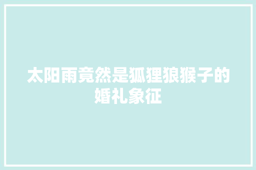 太阳雨竟然是狐狸狼猴子的婚礼象征