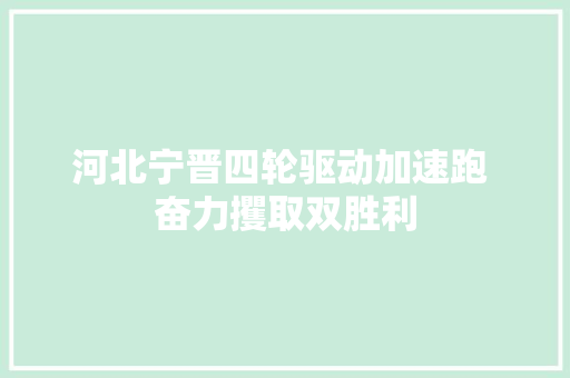 河北宁晋四轮驱动加速跑 奋力攫取双胜利