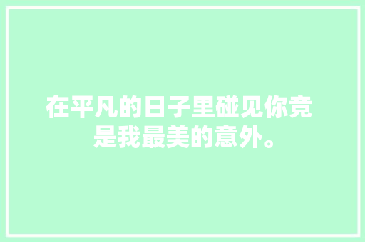 在平凡的日子里碰见你竞 是我最美的意外。