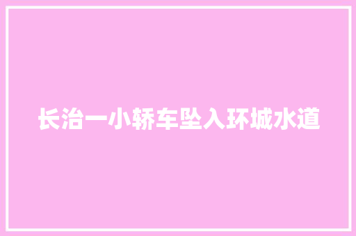 长治一小轿车坠入环城水道