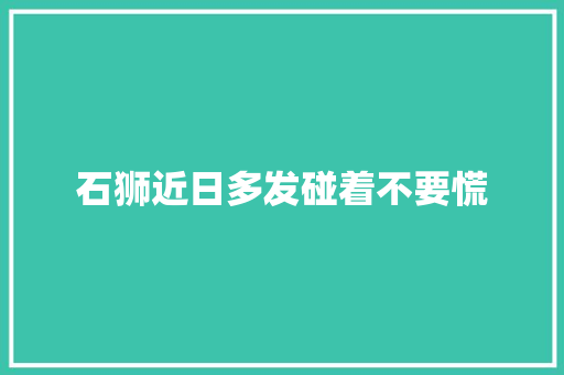 石狮近日多发碰着不要慌