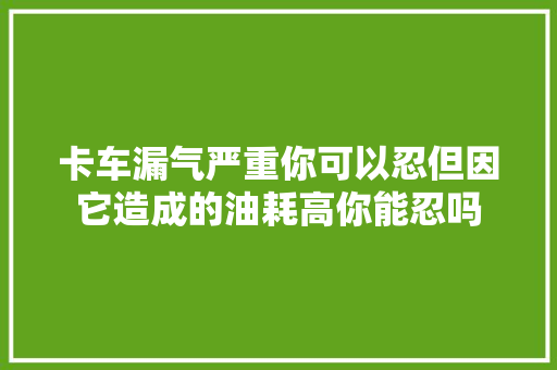 卡车漏气严重你可以忍但因它造成的油耗高你能忍吗