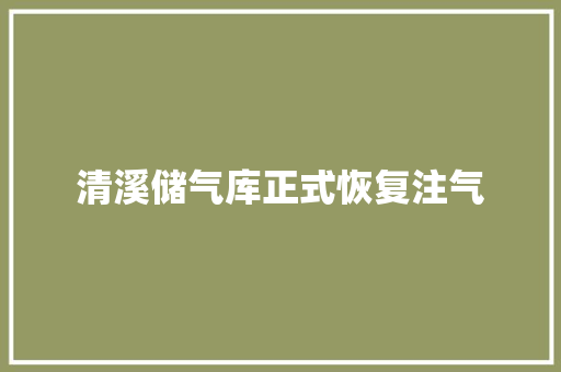清溪储气库正式恢复注气