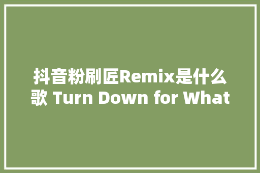 抖音粉刷匠Remix是什么歌 Turn Down for What