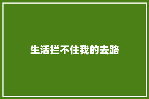生活拦不住我的去路