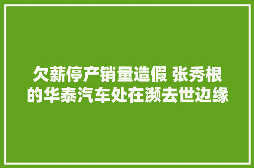 欠薪停产销量造假 张秀根的华泰汽车处在濒去世边缘