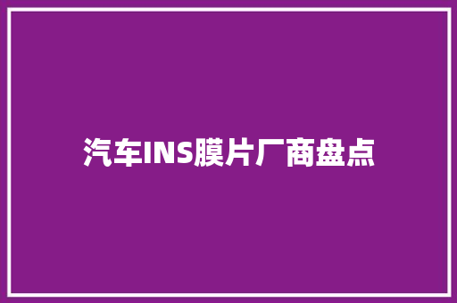 汽车INS膜片厂商盘点