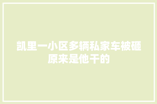 凯里一小区多辆私家车被砸原来是他干的