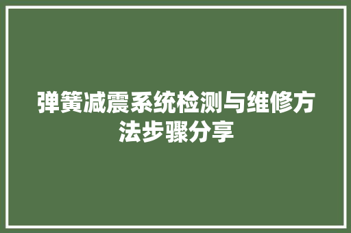 弹簧减震系统检测与维修方法步骤分享