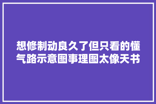 想修制动良久了但只看的懂气路示意图事理图太像天书