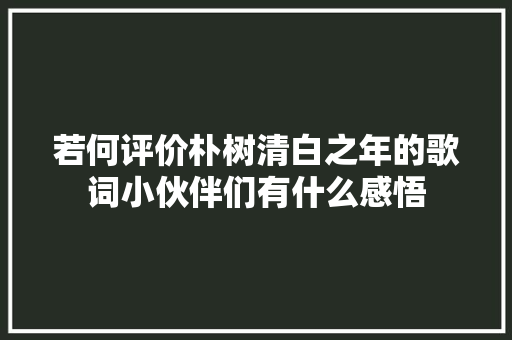 若何评价朴树清白之年的歌词小伙伴们有什么感悟