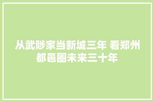 从武陟家当新城三年 看郑州都邑圈未来三十年
