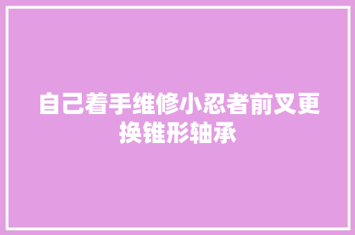 自己着手维修小忍者前叉更换锥形轴承