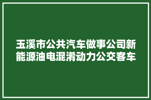 玉溪市公共汽车做事公司新能源油电混淆动力公交客车采购项目变更通知书记一