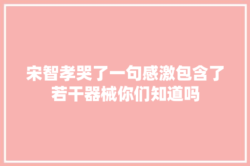 宋智孝哭了一句感激包含了若干器械你们知道吗